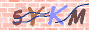 キャプチャ画像