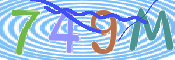 キャプチャ画像