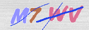 キャプチャ画像
