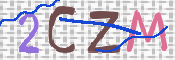 キャプチャ画像