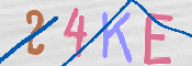 キャプチャ画像
