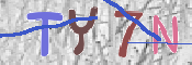 キャプチャ画像